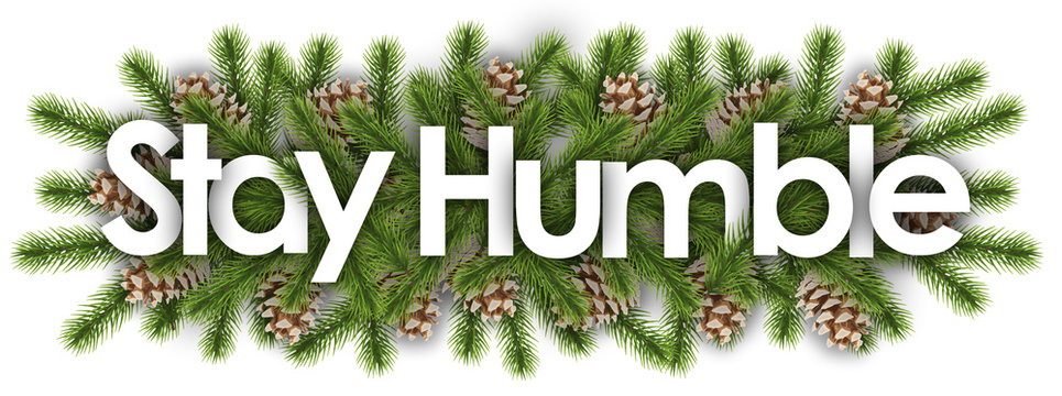 Stay Humble In Christmas Background - Pine Branchs