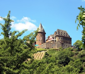 Burgen am Rhein