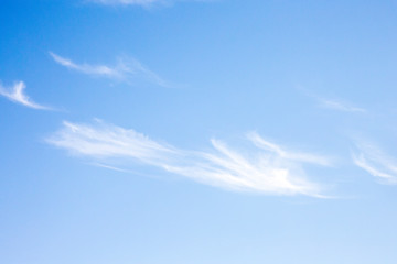 Detail of the only cloud in a clear sky