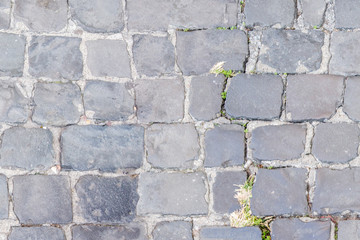 Detail of a street paving in Sanpietrini. Useful for texture.