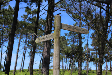 Divert trip without stress