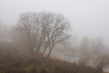 Obraz na płótnie Canvas Trees in the fog over the river. Thick fog over the river. Autumn landscape