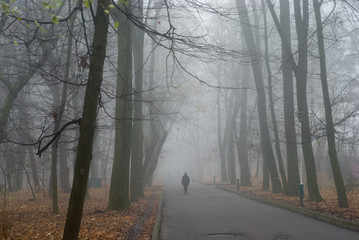 A lonely man walking into the distance in the autumn park, early in the morning in cloudy foggy...