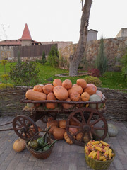 Autumn, the harvest. Cart with pumpkins, and other vegetables in baskets