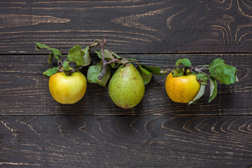 Fresh organic yellow apples and green pear in the center on a natural brown wooden background