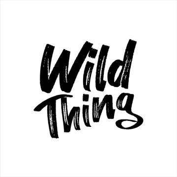 Wild thing- paint brus text. Good for t-shirt print, flyer, poster design, mug, and card.