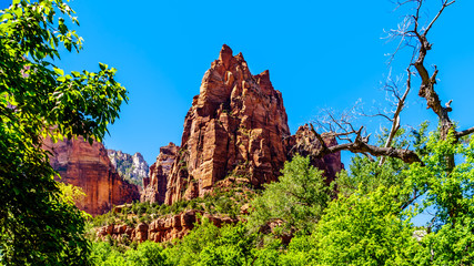 Jacob Peak, one of the three peaks in the Court of the Patriarchs in Zion National Park in Utah,...
