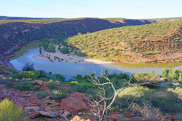 Fototapeta na wymiar View of the Murchison River gorge in Kalbarri National Park in the Mid West region of Western Australia.