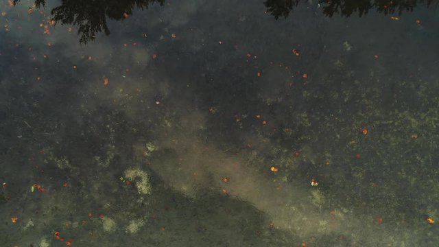 Aerial view of water