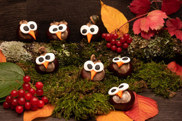 Eulen Deko Herbst