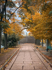 Naklejka premium Shot of the Ile aux Cygnes, isle of the Swans, in Paris France on an autumn day, with green yellow and orange fall leaves on the trees and buildings of Beaugrenelle
