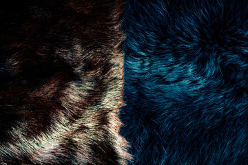 luxury two colors fur fabric texture with lights over surface