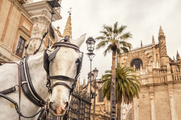 Naklejka na ściany i meble The Unicorn of Sevilla, Spain