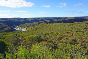 Fototapeta na wymiar View of the Murchison River gorge in Kalbarri National Park in the Mid West region of Western Australia.