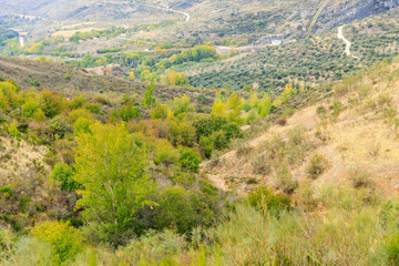 Fototapeta na wymiar First autumn colors in the mountains of Madrid