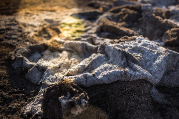 Dirty sand on the beach. Background, textures. Climate change concept