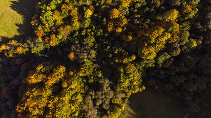 Atumnal Fall Foliage, Top Down Aerial Drone View