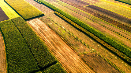 Colorful Countryside Farm Fields. Cultivated Soil with Crops. Aerial Drone View © marcin jucha