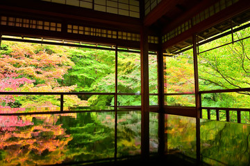 和室から眺める日本庭園　瑠璃光院の紅葉