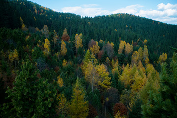 Autumn in the mountains. Green and yellow trees in the hills.