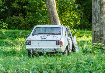 Obraz na płótnie Canvas Novi Sad, Serbia - September 29. 2019: The old forest with poplar trees. Repair old cars thrown in the woods.