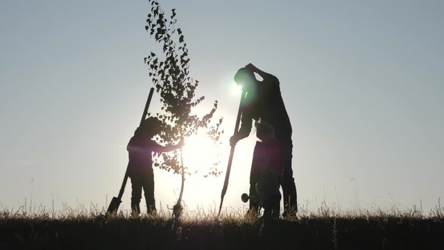A happy family of farmers. Silhouette of a father and two children planting and watering a tree in the Park at sunset.