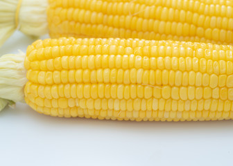 boiled sweet corn on white background