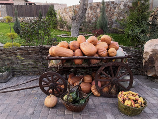 Autumn, the harvest. Cart with pumpkins, and other vegetables in baskets