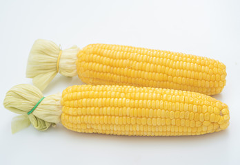 boiled sweet corn on white background