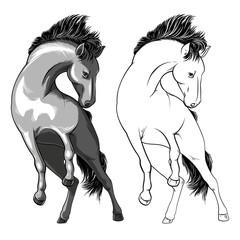 Wild horse. The grayscale horse kicks. Taming a horse. Vector illustration on white background.