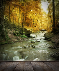 Obrazy  leśny wodospad