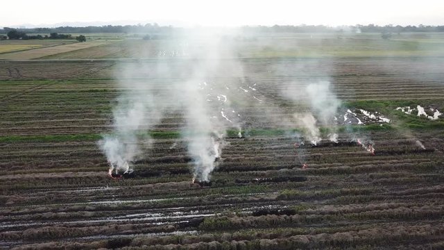 Aerial tracking fire open burn at paddy field after harvested at Malaysia, Southeast Asia.