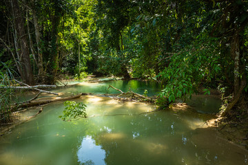 Tad Sae Waterfall in Luang prabang province, Laos.