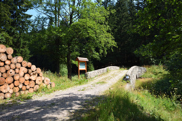 Die Zinnbrücke über die Wilde Weißeritz
