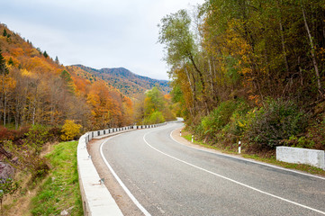 Fototapeta premium road in the autumn mountains