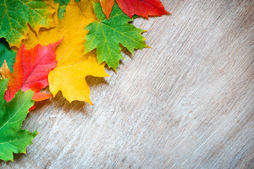 wooden background with autumn colored tree leaves