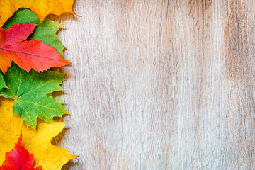 Naklejka na ściany i meble Wooden background with autumn colored tree leaves