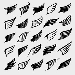 Wings set. Collection icon wings. Vector