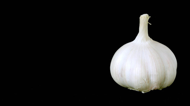 garlic