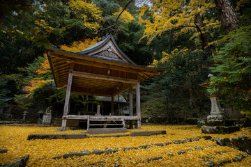京都 岩戸落葉神社の紅葉と秋景色