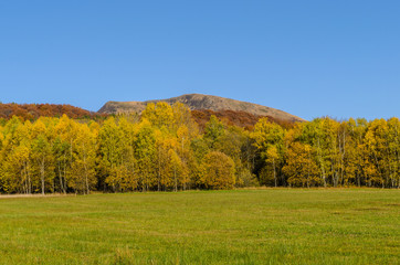Jesienny las Bieszczady