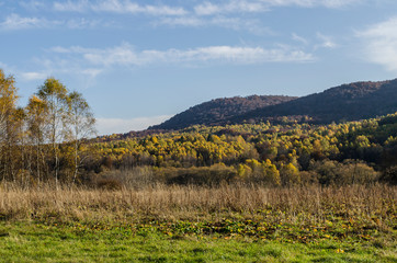Obraz premium Bieszczadzka jesień 