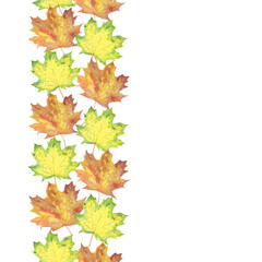 watercolor orange, green and yellowish autumn maple leaves, repeat vertical banner pattern on the white background