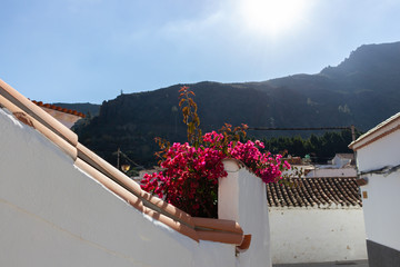 Maspalomas 4