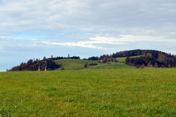 Obraz premium Grüne Landschaft bei St. Peter im Schwarzwald