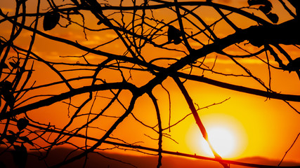 Sunset with trees silhouette in lookout of Serra do Cipo National Park, Minas Gerais, Brazil