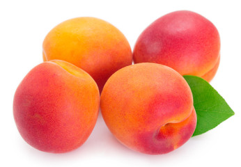 Fresh apricot on white background