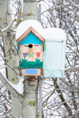 Smiling birdhouse. Birdhouse in the form of a funny face on the tree. Handmade wooden nesting box covered in snow. Winter landscape with trees covered of the snow.