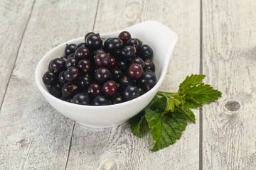 Fresh ripe sweet black currant
