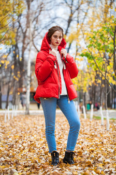 Young beautiful girl in blue jeans and red down jacket posing in autumn leaves in a park